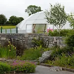 Wild Kinvara Campsite *