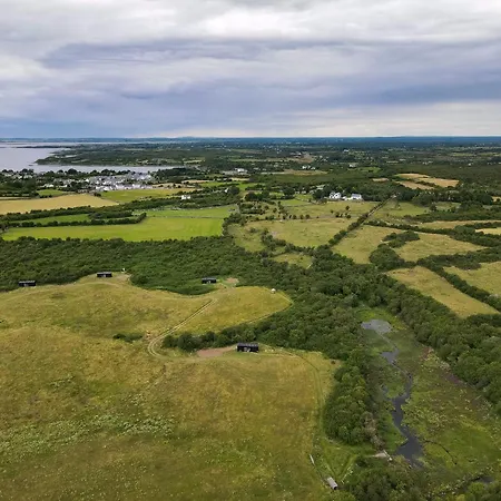 Wild Kinvara *
