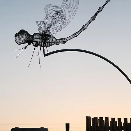 Wild Kinvara Cloonnasee