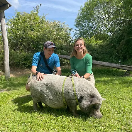 אתר קמפינג Wild Kinvara