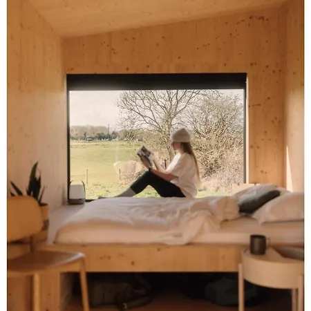 Wild Kinvara * Cloonnasee