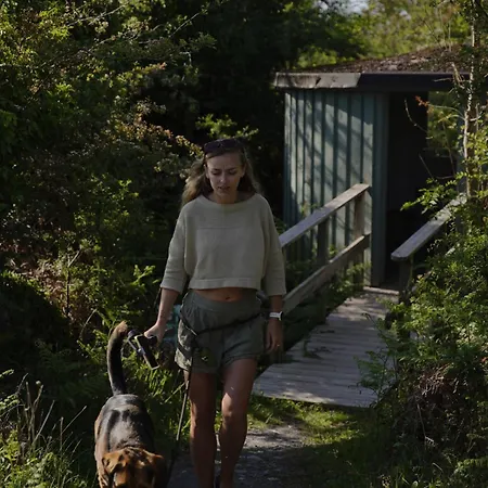 Wild Kinvara Cloonnasee