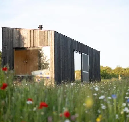 Wild Kinvara Cloonnasee