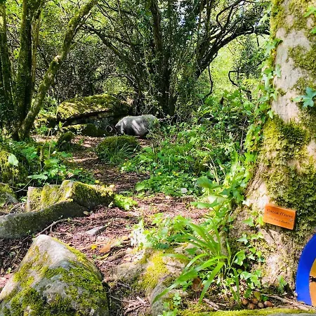 Camping Wild Kinvara Cloonnasee