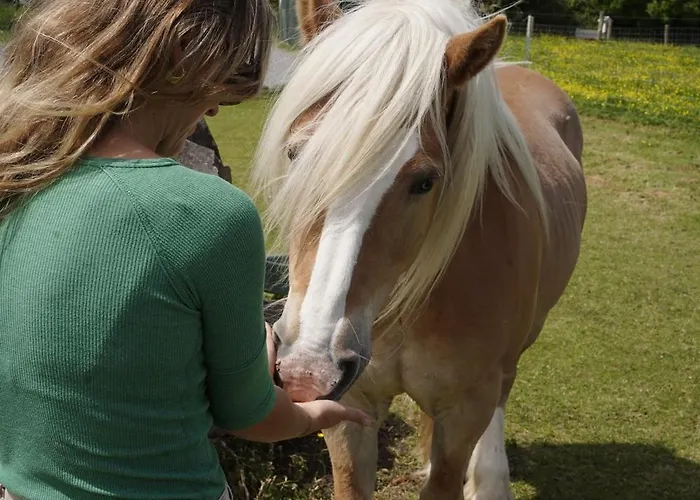 Wild Kinvara * Cloonnasee