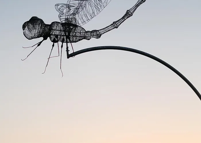 Wild Kinvara Cloonnasee