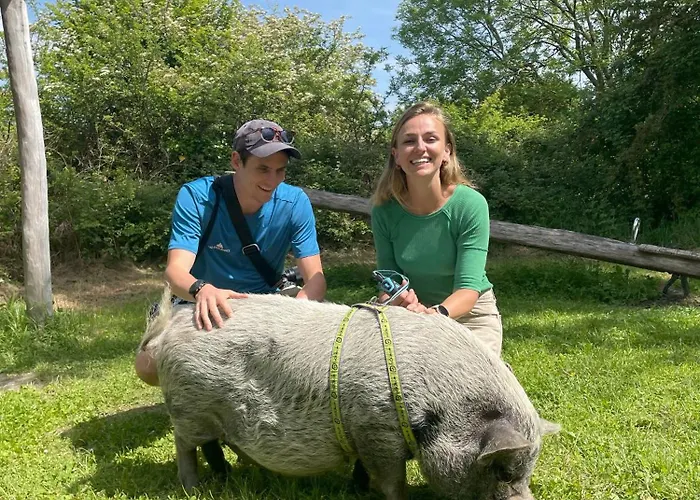 キャンプ場 Wild Kinvara