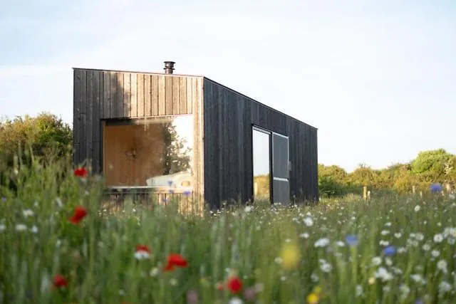 Wild Kinvara Cloonnasee