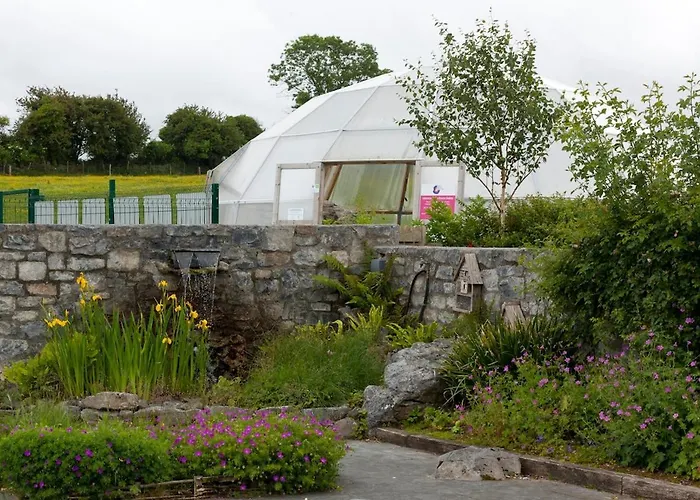 Wild Kinvara Camping *